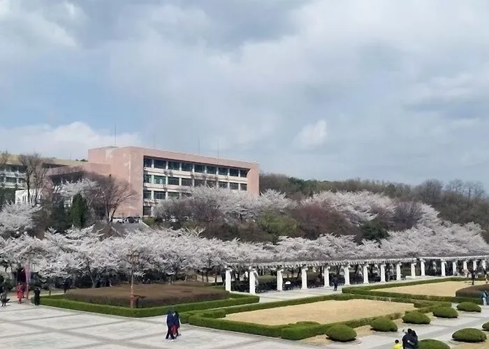 ゲストハウス Kyung Hee 24
